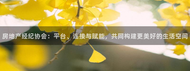 新宝5玩法：房地产经纪协会：平台、连接与赋能，共同构建更美好