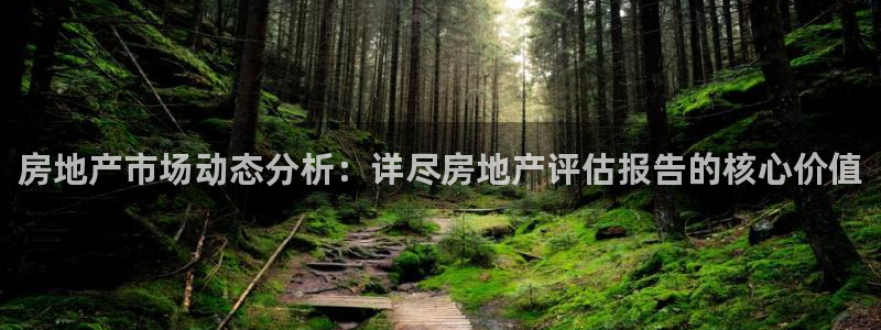 新宝5 888：房地产市场动态分析：详尽房地产评估报告的核心