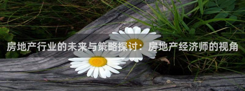 新宝5娱乐经：房地产行业的未来与策略探讨：房地产经济师的视角
