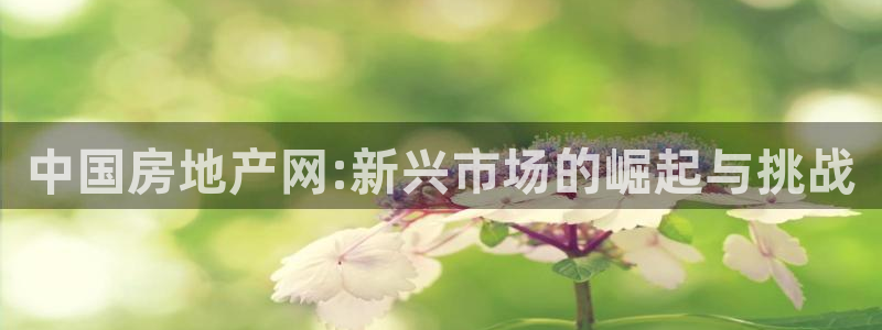 新宝5娱乐：中国房地产网:新兴市场的崛起与挑战