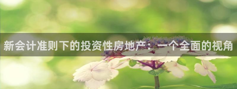新宝5测速平台登录：新会计准则下的投资性房地产：一个全面的视