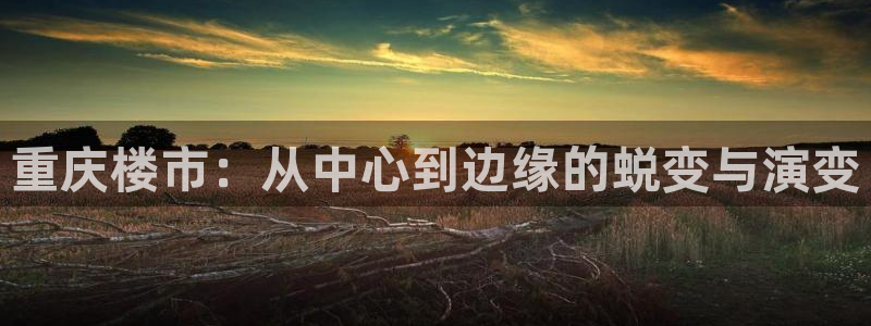 新宝5手机版：重庆楼市：从中心到边缘的蜕变与演变