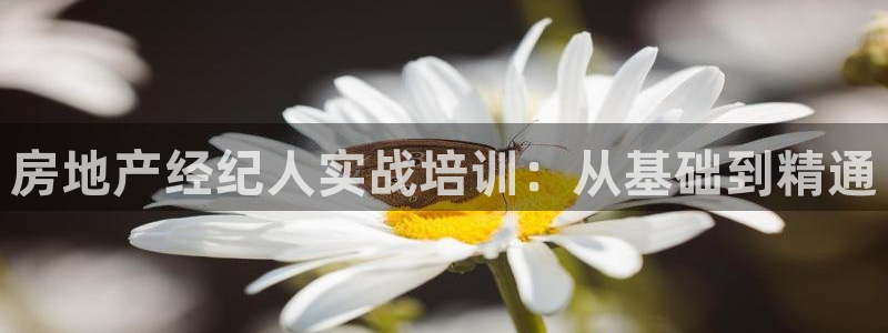 新宝5登录平台：房地产经纪人实战培训：从基础到精通