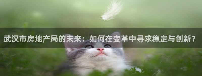 新宝5培训：武汉市房地产局的未来：如何在变革中寻求稳定与创新