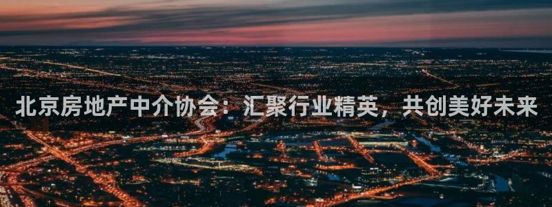 新宝5登录霸：北京房地产中介协会：汇聚行业精英，共创美好未来