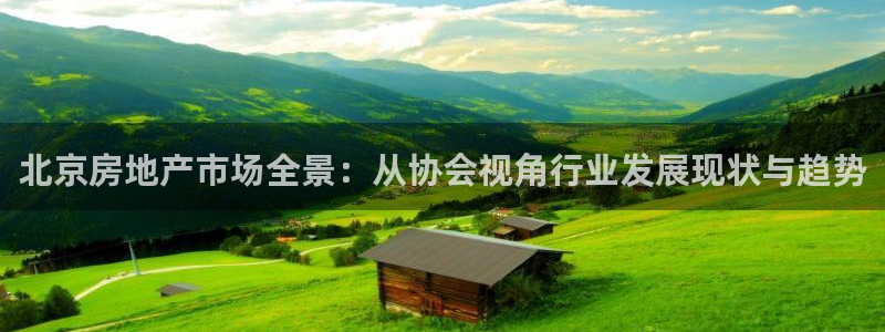 新宝5巅峰：北京房地产市场全景：从协会视角行业发展现状与趋势