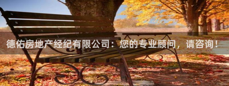 新宝5娱乐没：德佑房地产经纪有限公司：您的专业顾问，请咨询！