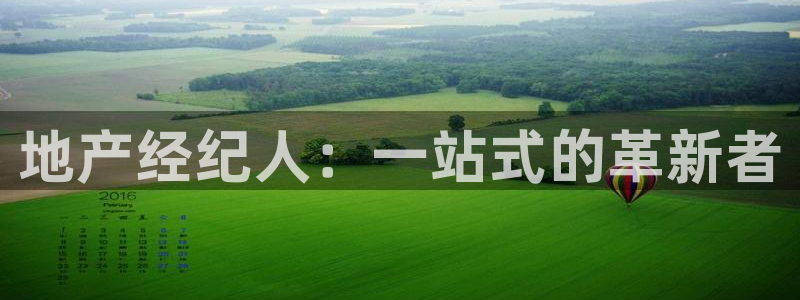 新宝5什么时候上市：地产经纪人：一站式的革新者