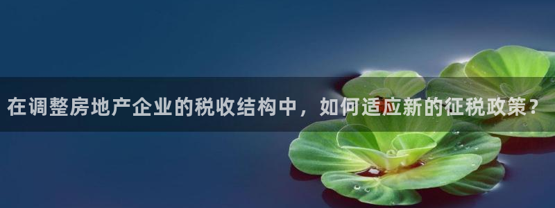 新宝5寂创33300散：在调整房地产企业的税收结构中，如何适