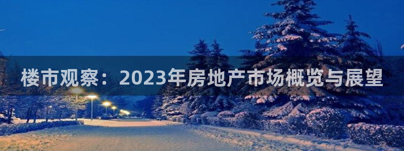 新宝5上70 667：楼市观察：2023年房地产市场概览与展