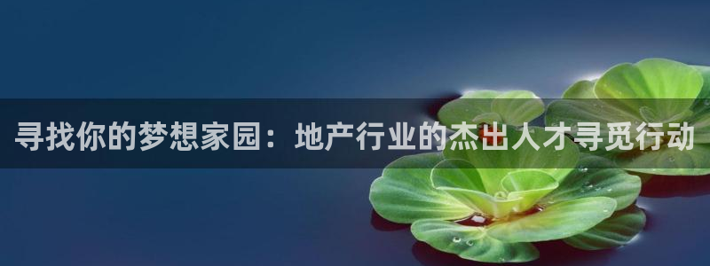 新宝5手机登陆：寻找你的梦想家园：地产行业的杰出人才寻觅行动