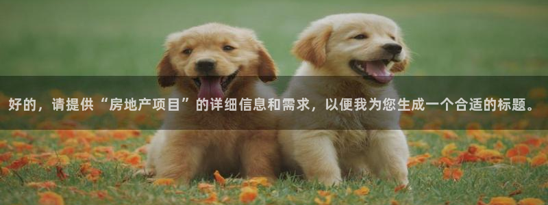 新宝5娱乐注：好的，请提供“房地产项目”的详细信息和需求，以
