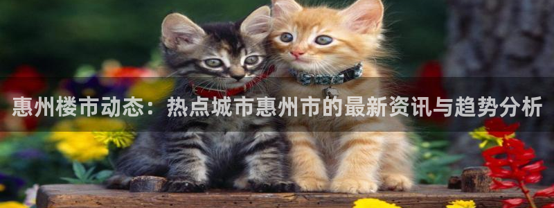 新宝5是谁：惠州楼市动态：热点城市惠州市的最新资讯与趋势分析