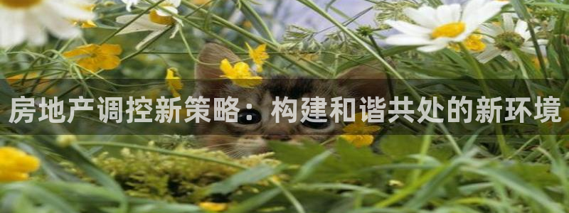 新宝5下载测试：房地产调控新策略：构建和谐共处的新环境
