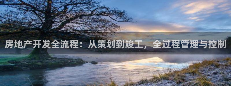 新宝5注册平台：房地产开发全流程：从策划到竣工，全过程管理与