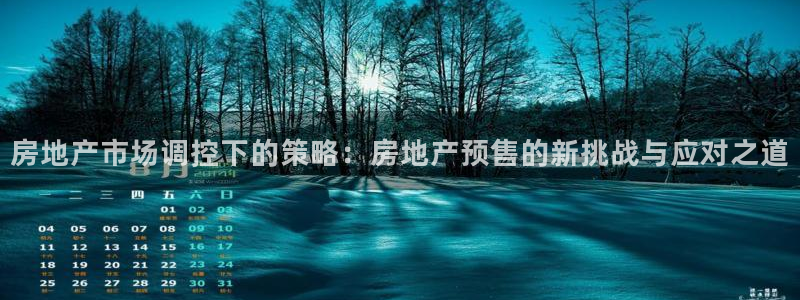 新宝5平台登录：房地产市场调控下的策略：房地产预售的新挑战与