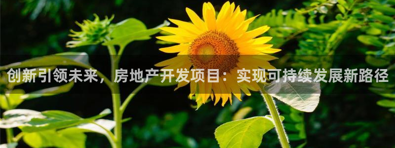 新宝5周74OOO5：创新引领未来，房地产开发项目：实现可持