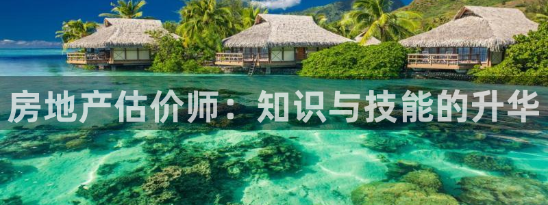新宝5巅峰：房地产估价师：知识与技能的升华