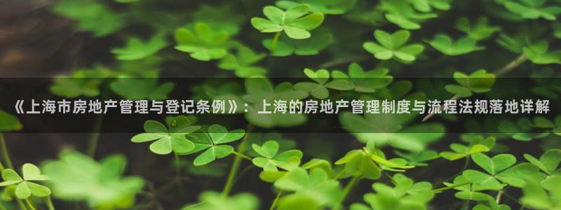 新宝5寂创33300散：《上海市房地产管理与登记条例》：上海