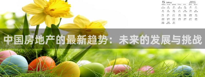 新宝那2O5O5O：中国房地产的最新趋势：未来的发展与挑战