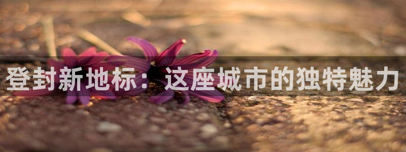 新宝5 - 测速登陆