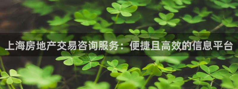 新宝5软件下载：上海房地产交易咨询服务：便捷且高效的信息平台