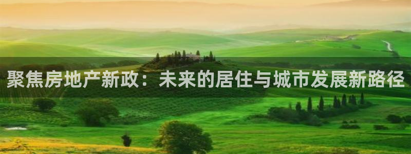 新宝5测速在线：聚焦房地产新政：未来的居住与城市发展新路径
