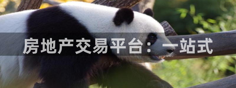新宝5手机app：房地产交易平台：一站式