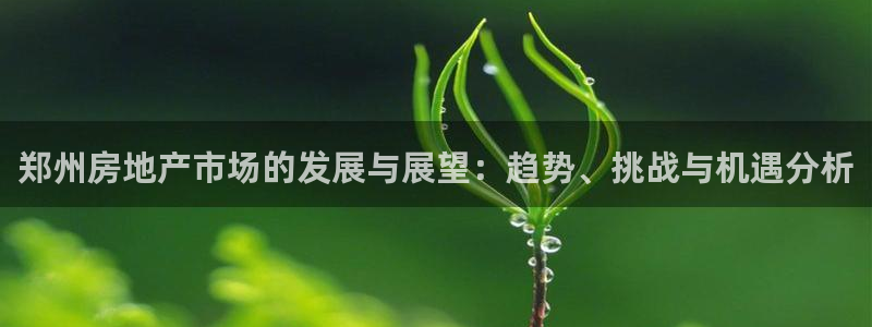 新宝5月：郑州房地产市场的发展与展望：趋势、挑战与机遇分析