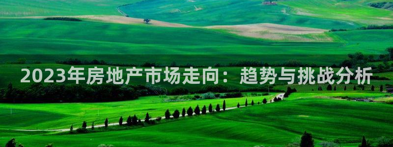 新宝5在哪里：2023年房地产市场走向：趋势与挑战分析