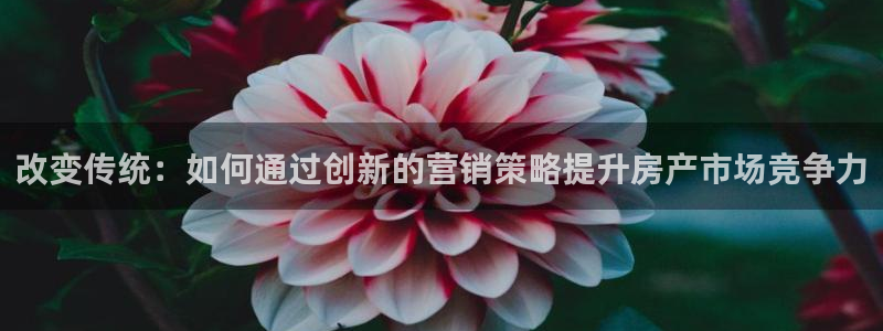 新宝5娱乐没：改变传统：如何通过创新的营销策略提升房产市场竞