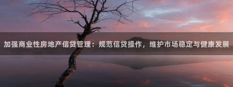 新宝5登录测速中心：加强商业性房地产信贷管理：规范信贷操作，
