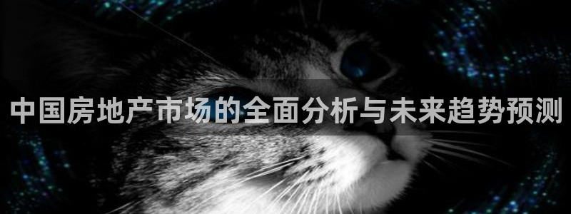 新宝5王问74OOO5：中国房地产市场的全面分析与未来趋势预