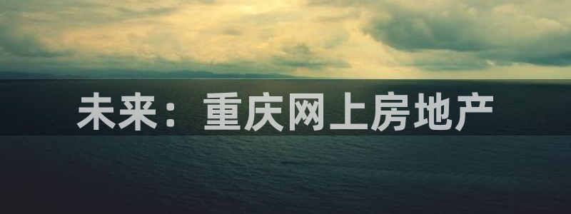 新宝5 代理
