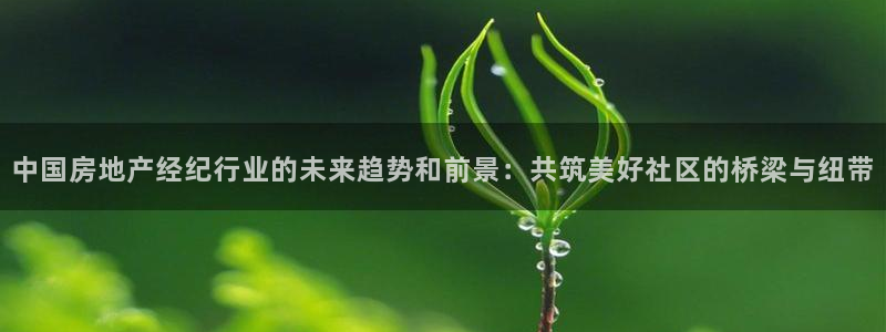 新宝5X：中国房地产经纪行业的未来趋势和前景：共筑美好社区的