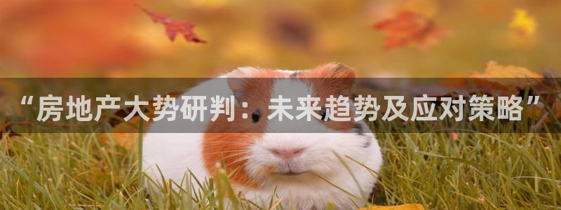 新宝5寻33 300球：“房地产大势研判：未来趋势及应对策略