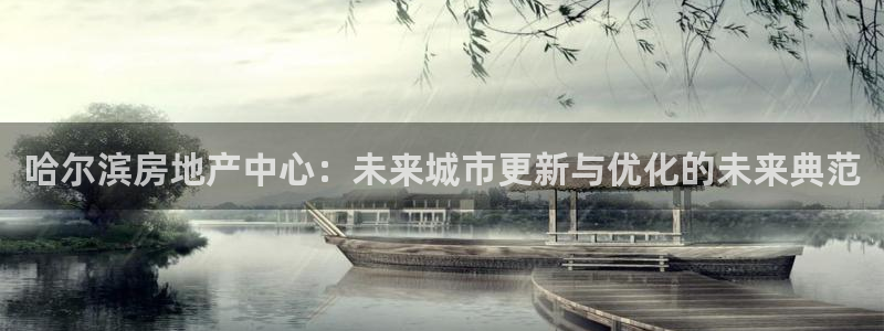 新宝5手机app：哈尔滨房地产中心：未来城市更新与优化的未来