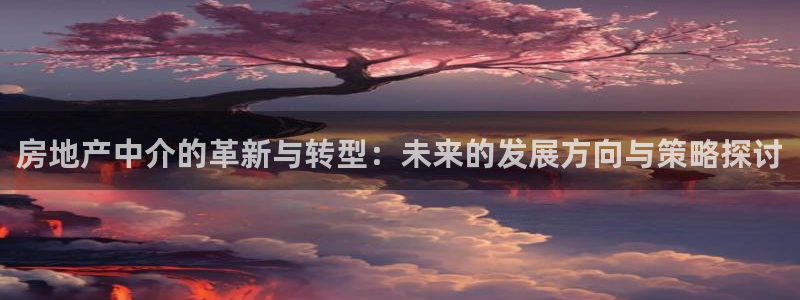 新宝5手机版登录：房地产中介的革新与转型：未来的发展方向与策