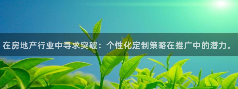 新宝5周74OOO5：在房地产行业中寻求突破：个性化定制策略