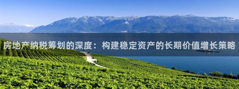 新宝5的网址：房地产纳税筹划的深度：构建稳定资产的长期价值增