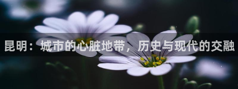 新宝5官网：昆明：城市的心脏地带，历史与现代的交融