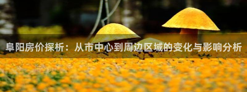 新宝5客户端登录：阜阳房价探析：从市中心到周边区域的变化与影