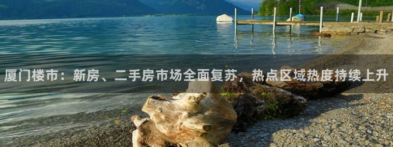 新宝5入口：厦门楼市：新房、二手房市场全面复苏，热点区域热度