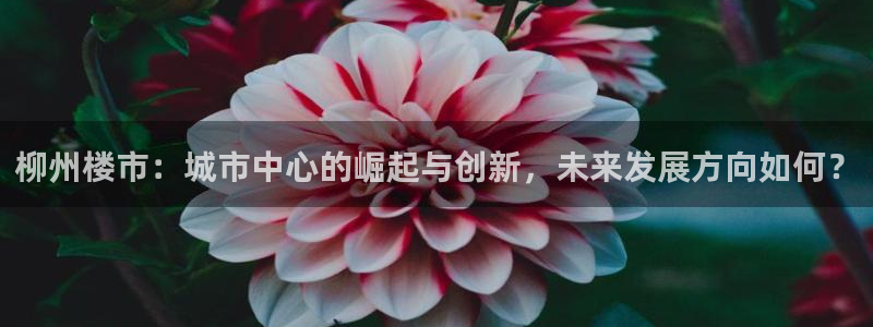 新宝5手机登录：柳州楼市：城市中心的崛起与创新，未来发展方向