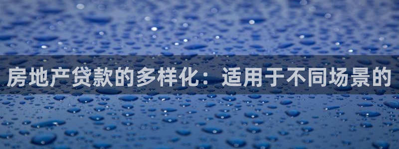 新宝5娱乐然：房地产贷款的多样化：适用于不同场景的
