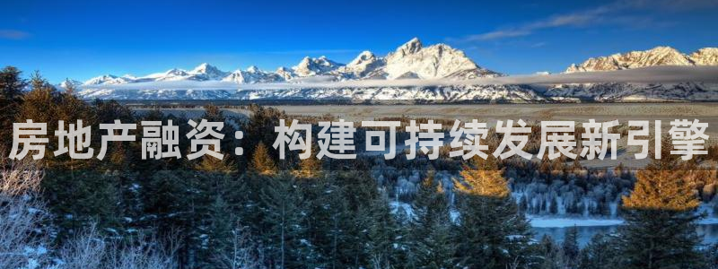 下载新宝5：房地产融资：构建可持续发展新引擎