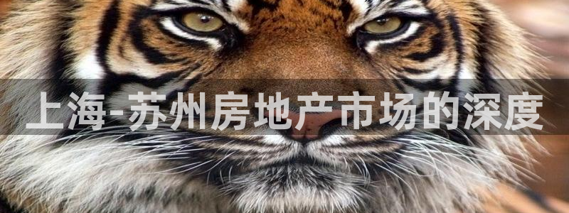 新宝5登录霸：上海-苏州房地产市场的深度
