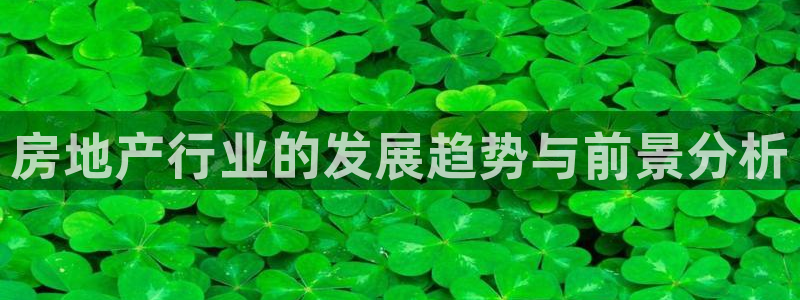 新宝5总代：房地产行业的发展趋势与前景分析
