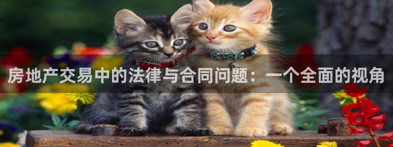 新宝5官方网站：房地产交易中的法律与合同问题：一个全面的视角