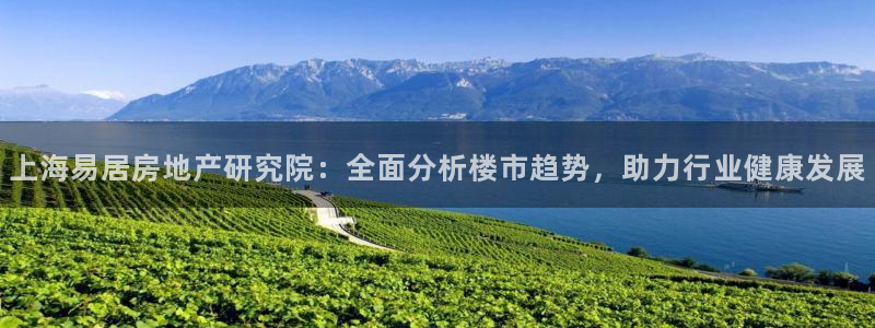 新宝5平台登陆：上海易居房地产研究院：全面分析楼市趋势，助力